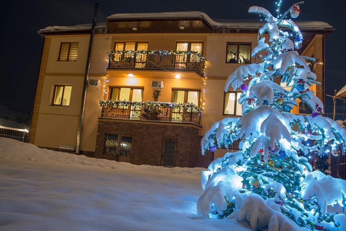 Adele Apartment Mizhhirya  Bagian luar foto