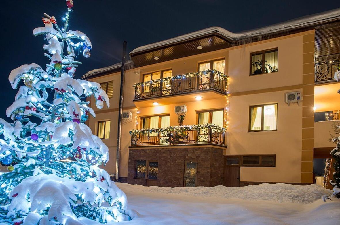 Adele Apartment Mizhhirya  Bagian luar foto