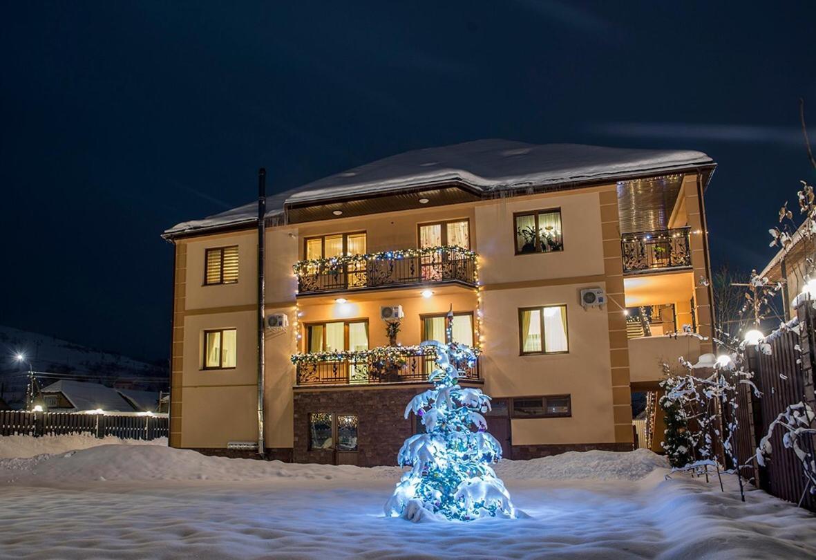 Adele Apartment Mizhhirya  Bagian luar foto